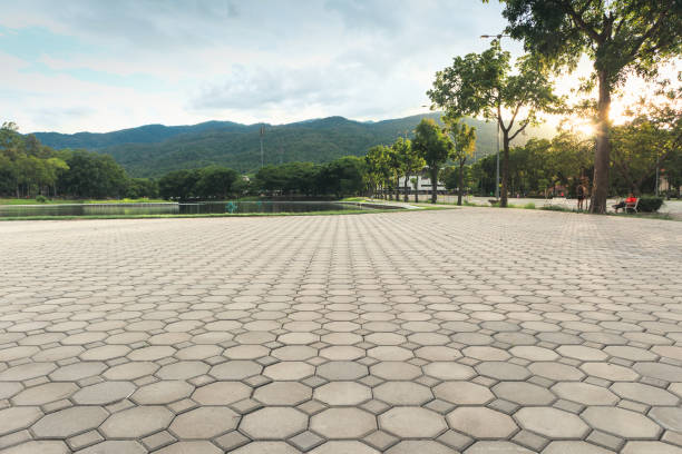 Best Residential Driveway Paver Services  in Groveland, FL